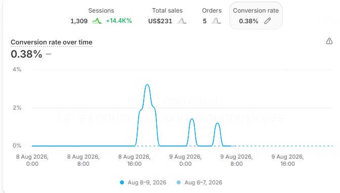 Shopify store sales result 7