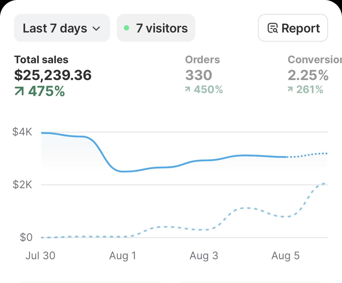 Shopify store sales result 6
