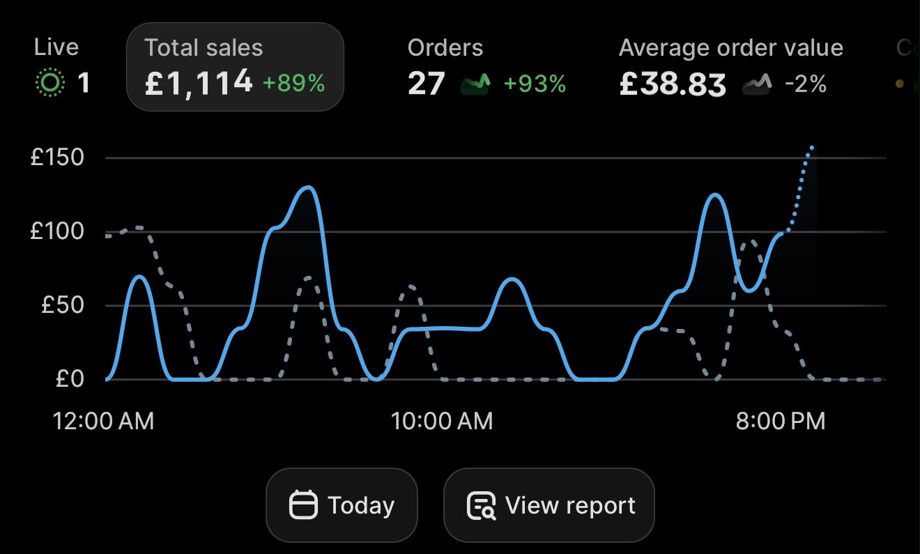 Shopify store sales result 9