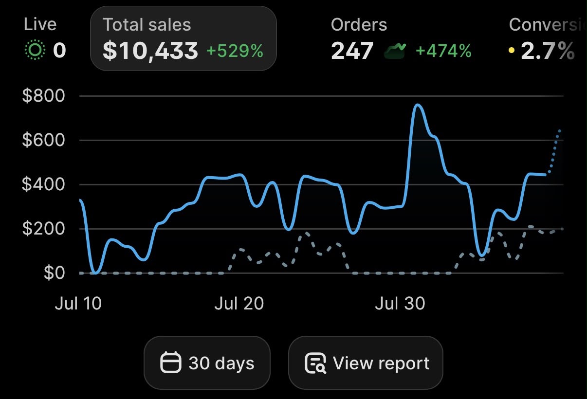 Shopify store sales result 8