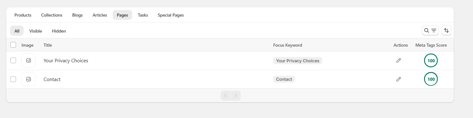 Page metadata scores — Shopify SEO optimisation result