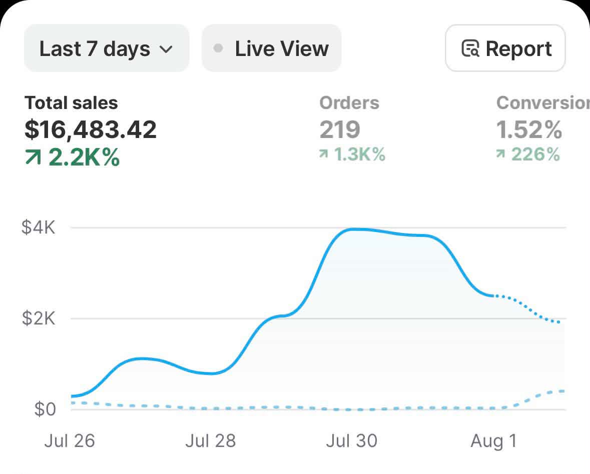 Shopify store sales result 4